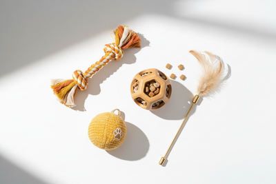 Pet Toys & Interactive Products