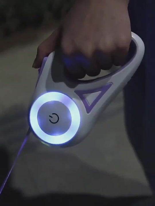 Dog Leash Retractable Leash And Dog Collar Spotlight Automatic Pet Dog Cat Traction Rope For Small Medium Dogs Pet Product.